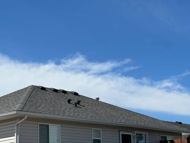 Professional Roofing in Huntsville, AR